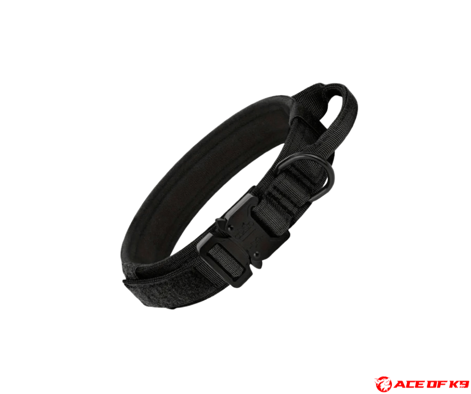 dog-collar-02_ch-tc01-b_1.png