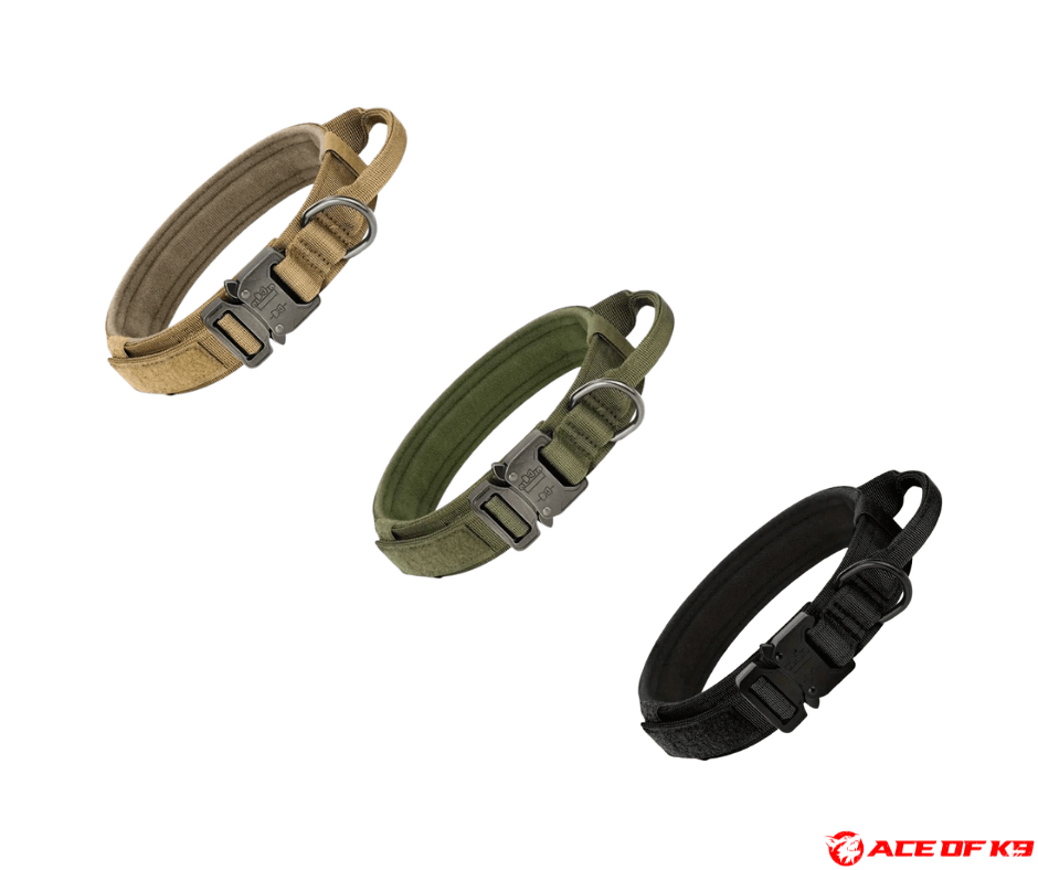 dog-collar-02_ch-tc01-bkga_1.png