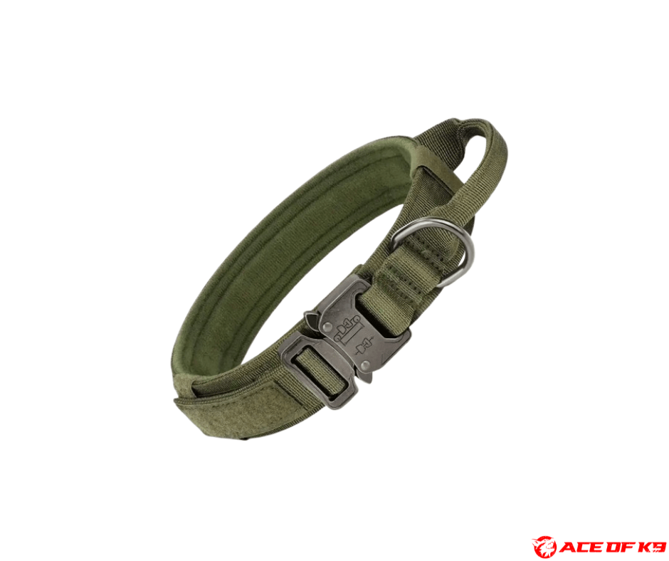 dog-collar-02_ch-tc01-ga_1.png