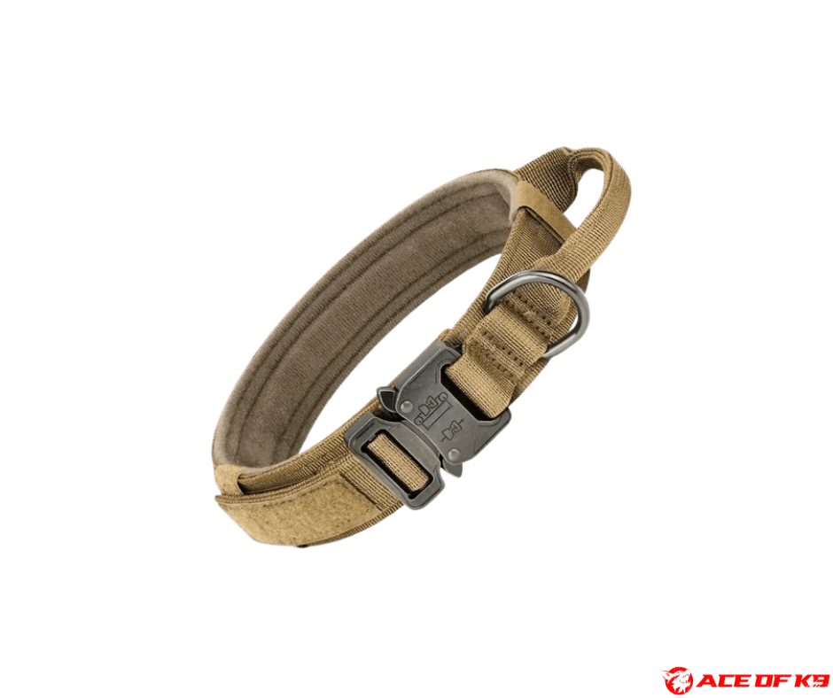 dog-collar-02_ch-tc01-k_1.png