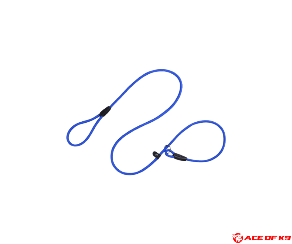 dog-collar-02_ch-sl02-b_2.png