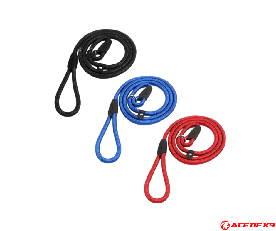 dog-collar-02_ch-sl02-bbr_2.png
