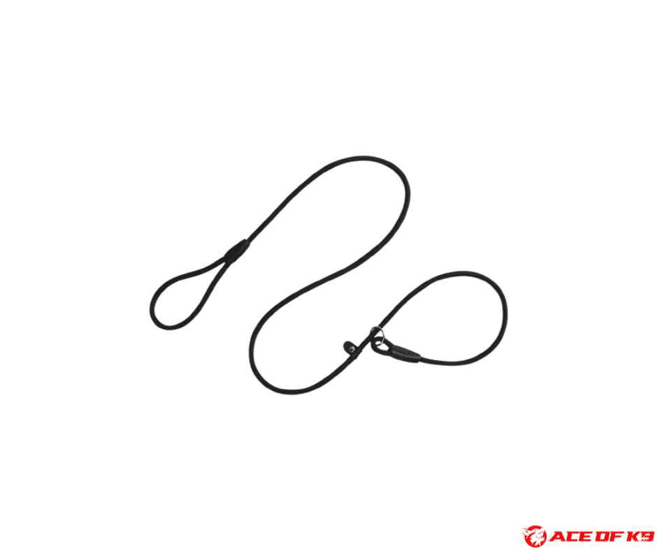 dog-collar-02_ch-sl02-bl_2.png