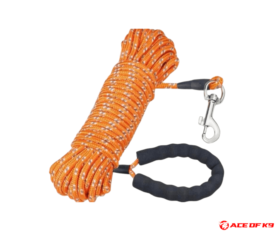 dog-leash-01_ch-r02-o_2.png