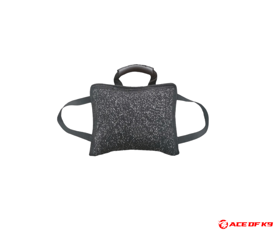 bite-pillow-01_ch-bp01-b_1.png