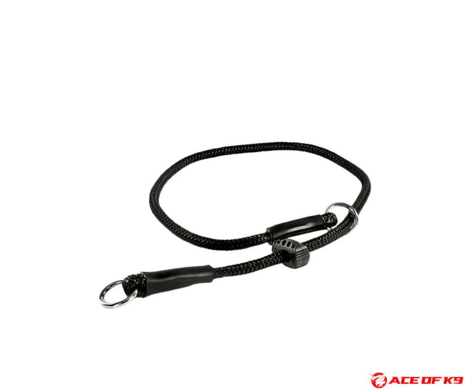 dog-collar-02_ch-sl01-b_1.png