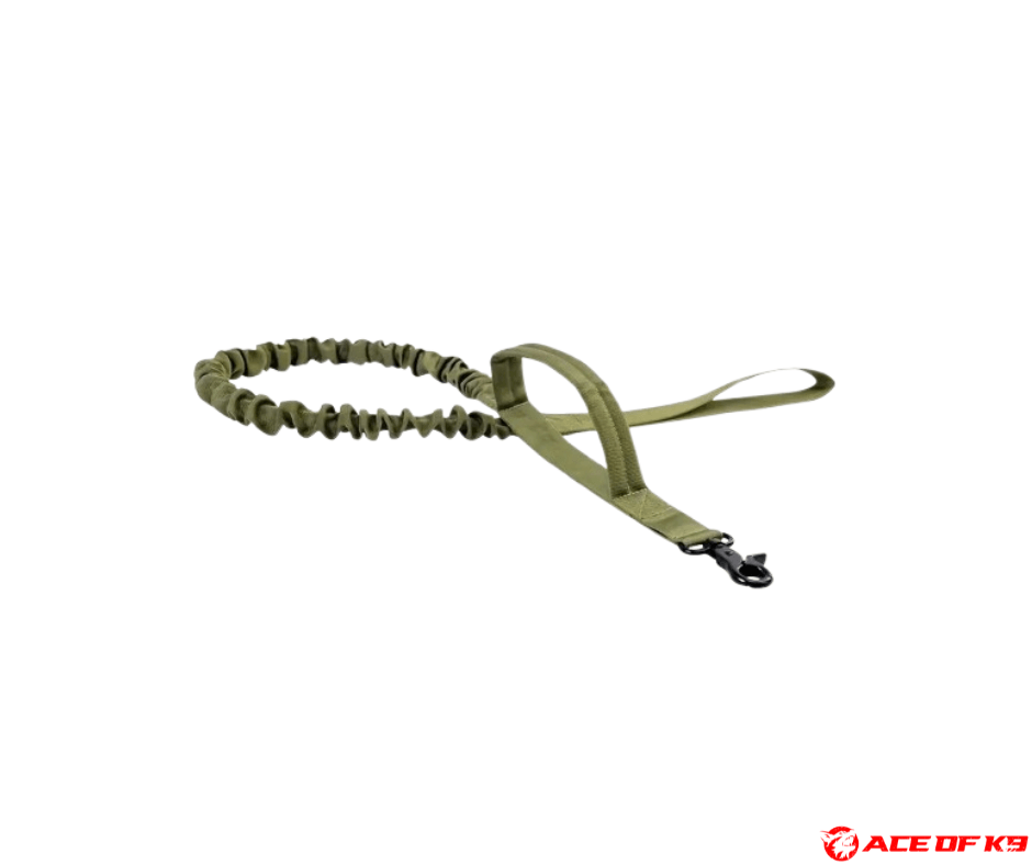 dog-leash-01_ch-tl01-ga_1.png