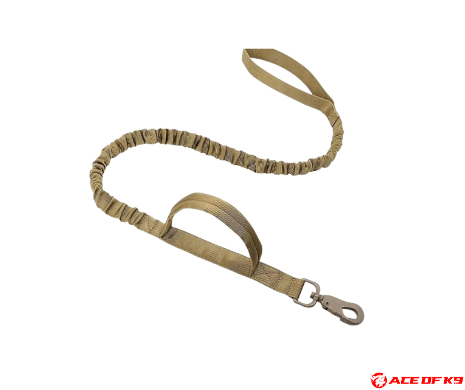 dog-leash-01_ch-tl01-k_1.png