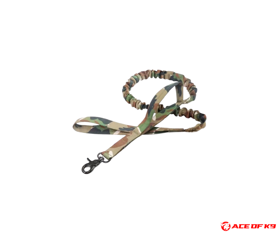 dog-leash-01_ch-tl01-m_1.png
