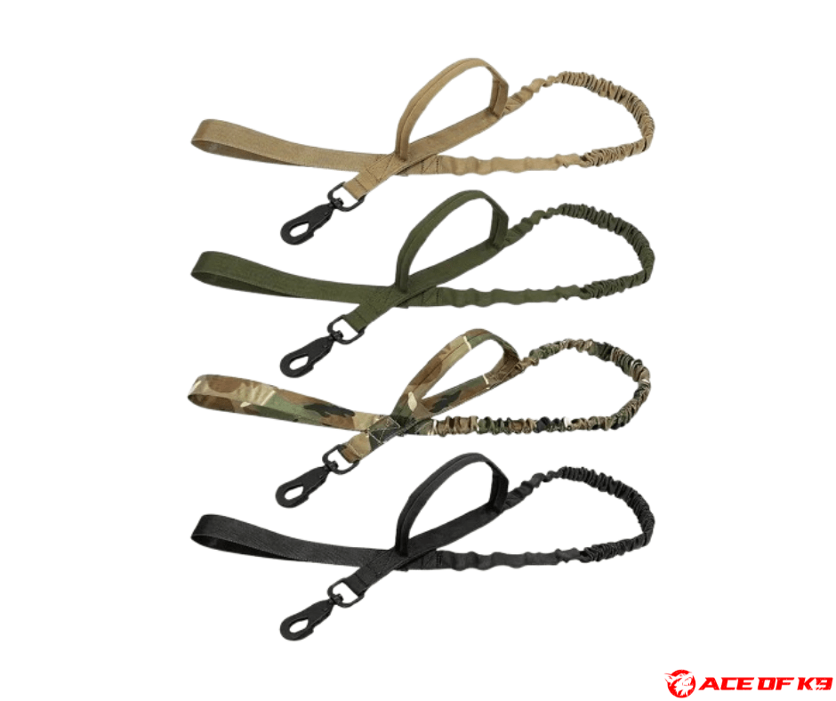dog-leash-01_ch-tl01_1.png