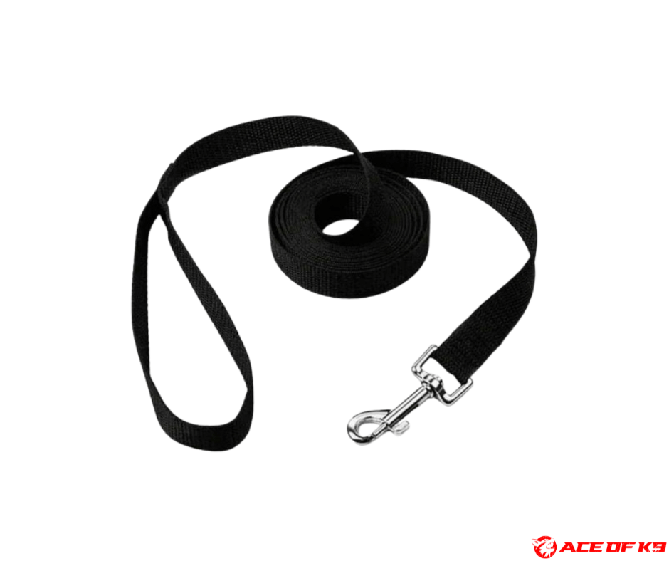 dog-leash-01_ch-r01-b_1.png