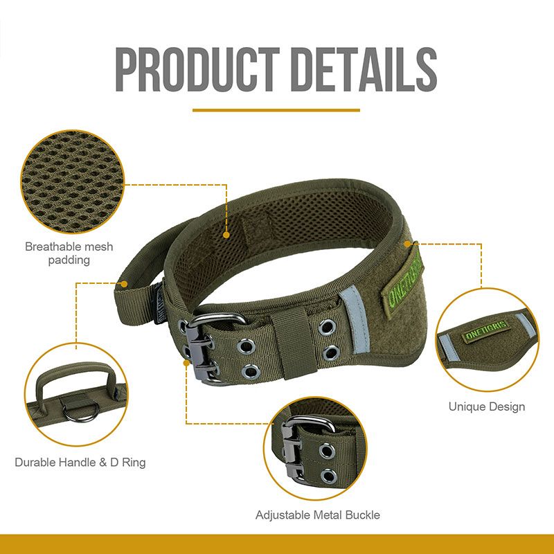 collar07_dg-gbt07a-rangergreen3.jpg