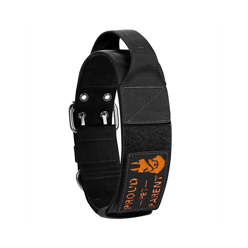 collar12_dg-gbt12a_black2.jpg
