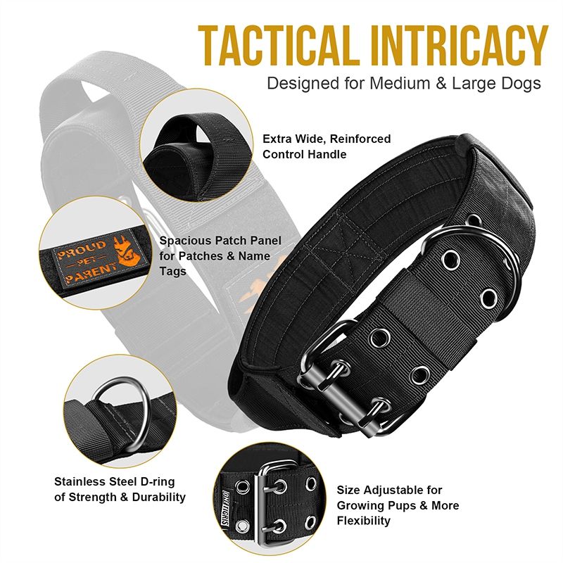 collar12_dg-gbt12a_black3.jpg
