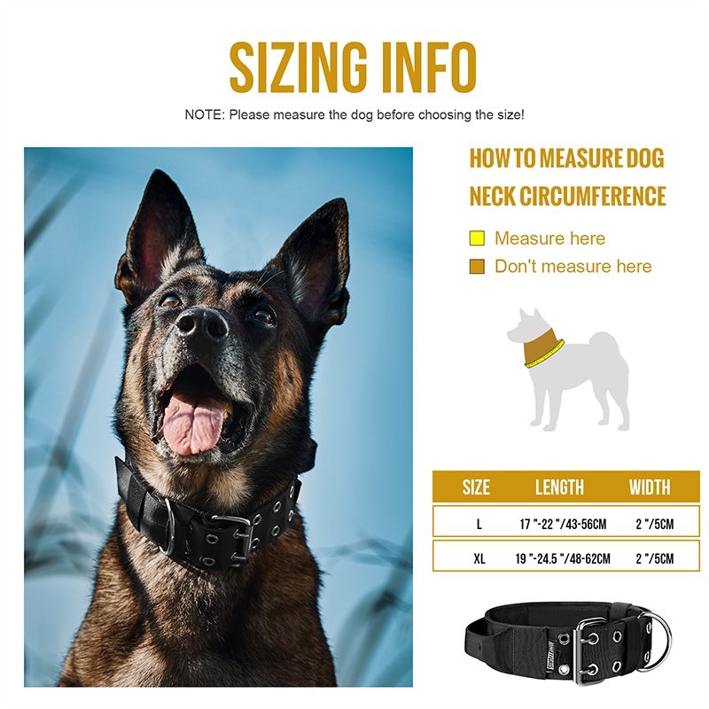 collar12_dg-gbt12a_black4.jpg