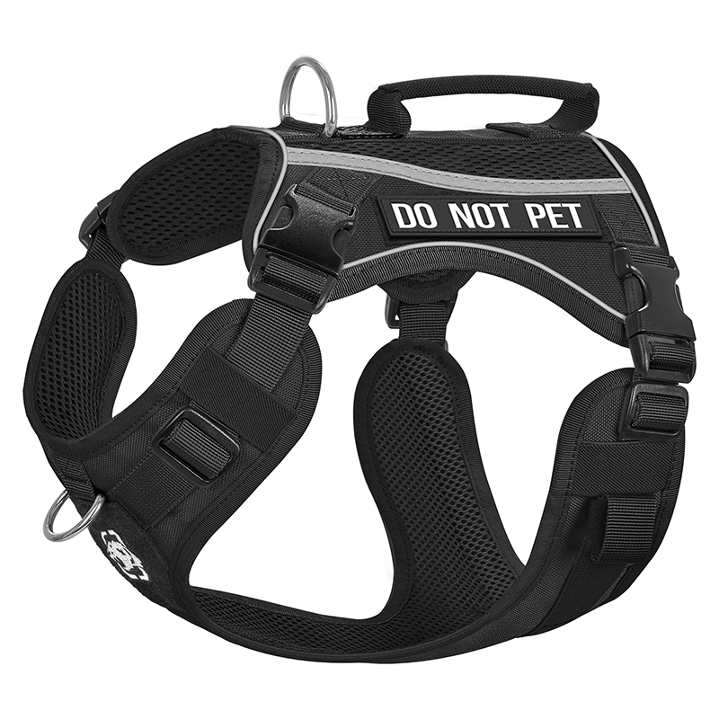 boots_mesh_dg-gbx39a-black1.png