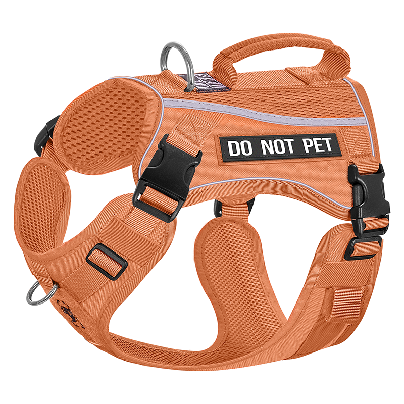boots_mesh_dg-gbx39a-orange1.png
