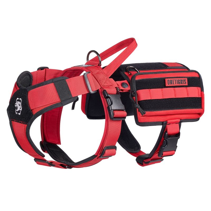 guardian_dg-gtz01a-red1.jpg